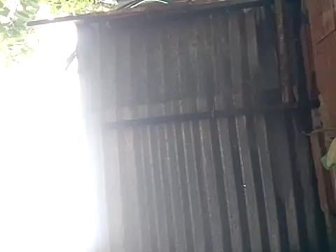 tugordita-hot webcam