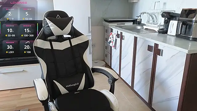 RyanStorm_ webcam