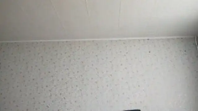 FrancesSrygley webcam