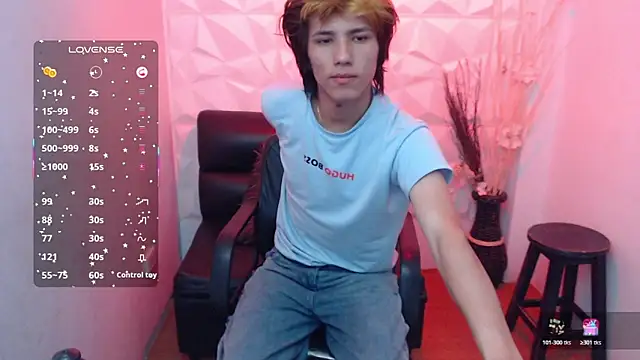 Stich_23 webcam