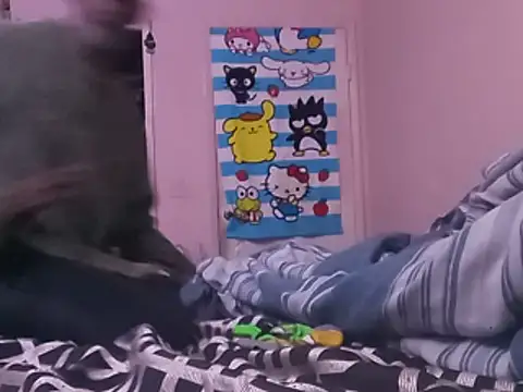 Blkstylion webcam