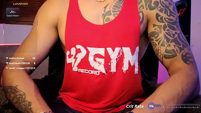 Joylopez_fit webcam