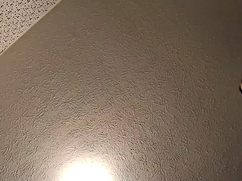 4dice06 webcam
