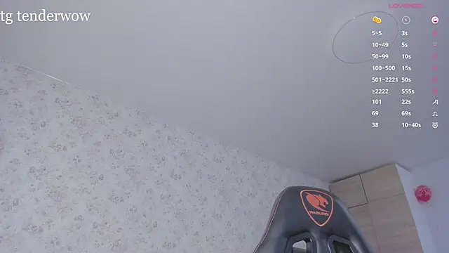 Tenderalise webcam