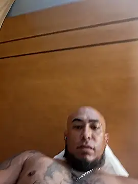 Mac15151 webcam