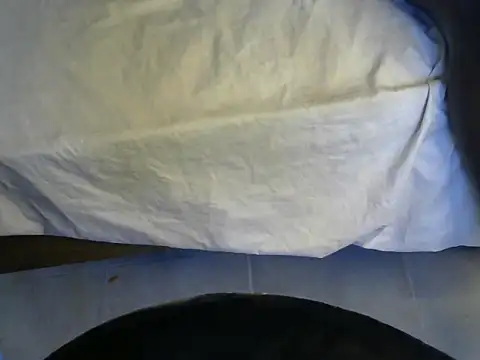 Cococharmy webcam