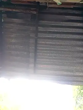 tugordita-hot live cam