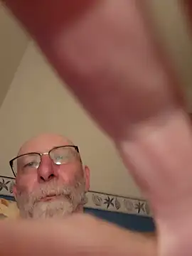 briochin webcam