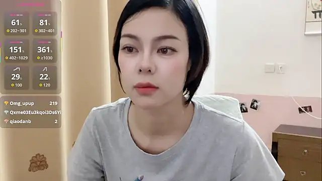 Linda-LL webcam
