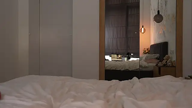 ibiddi webcam