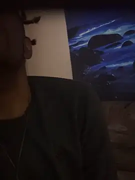 ReallyReallyReal webcam