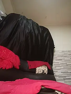 AvaChannel webcam