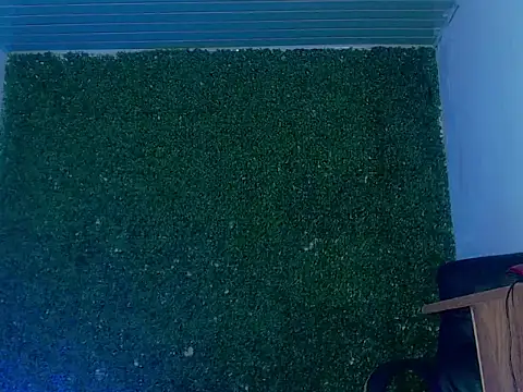dannypervetxxz webcam