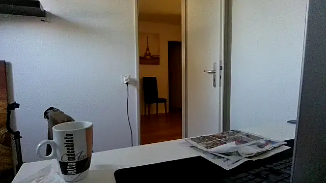 alpha-hunk webcam