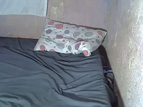 tashlin webcam