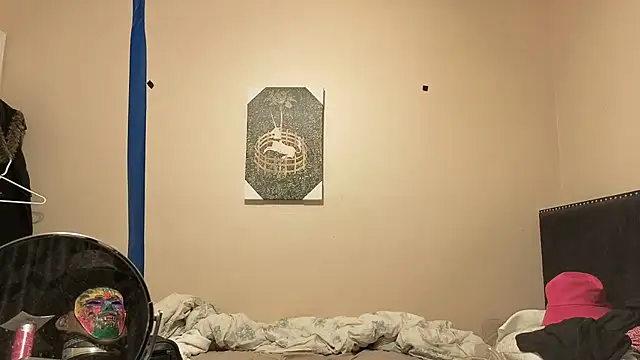hailzeffn webcam