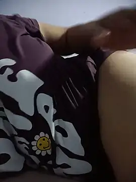 Hansikatelugu webcam