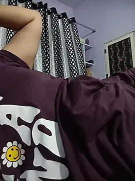 Hansikatelugu webcam