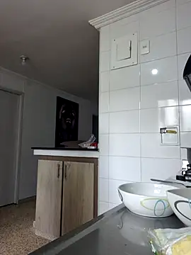 karla-bruni webcam