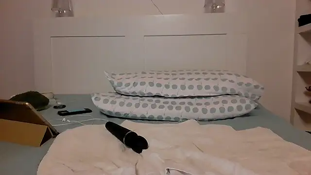 ada_in_europe webcam