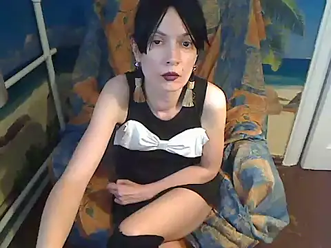 Bastet12 webcam