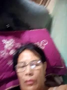 toyo_668 webcam