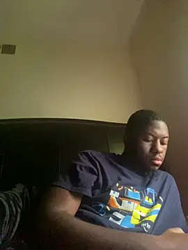 ThickDic28 webcam