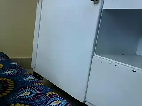 Sassynina webcam