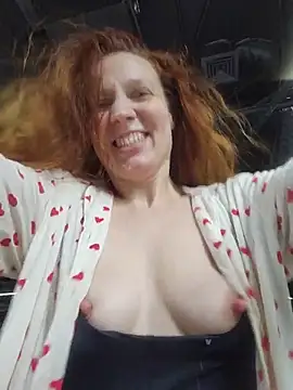 Exhibitionsplit webcam