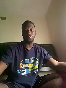 ThickDic28 webcam