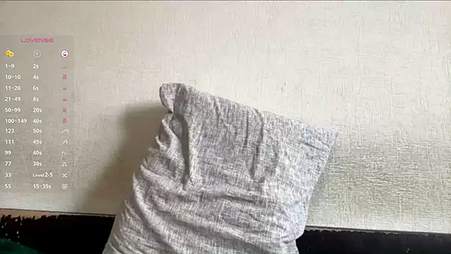 AiEsquer webcam