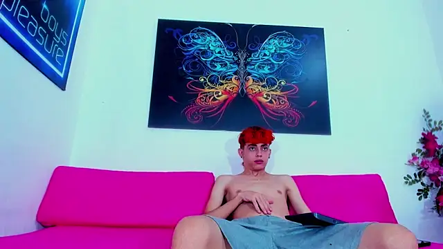 Thomy_hard webcam