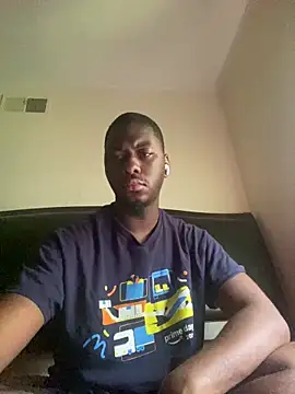 ThickDic28 webcam