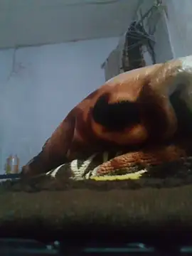 cobrosdepagos webcam