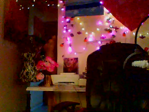 Anaconda2350 webcam