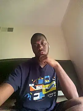ThickDic28 webcam