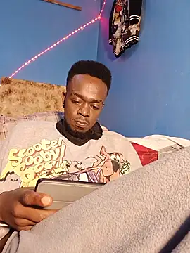 69_SINNS webcam
