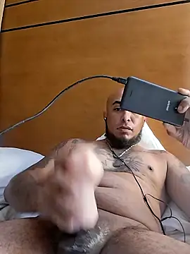 Mac15151 webcam