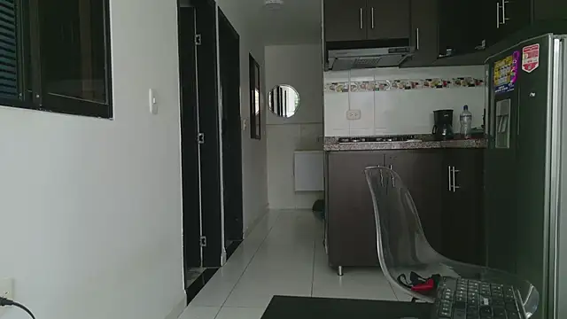 grey___27 webcam