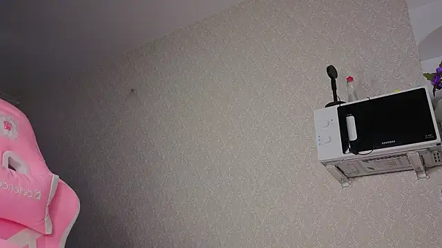Hi_Kitti webcam