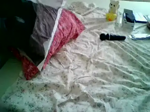 VeneRed webcam