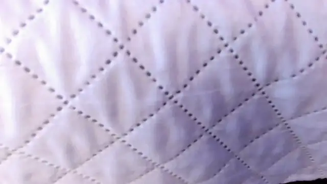 Ambeer_fox_ webcam