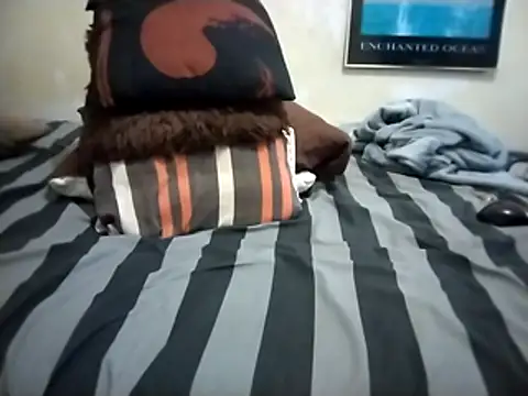 SteedyGee webcam