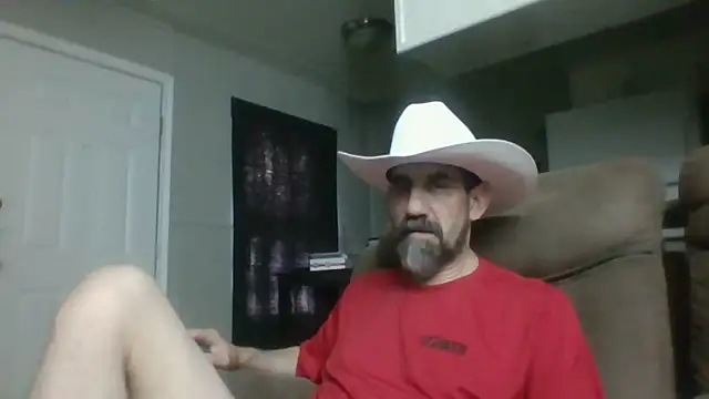 old_Domino webcam