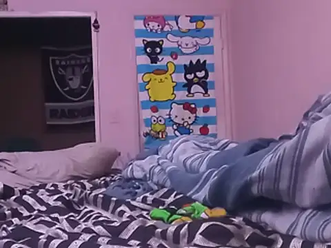 Blkstylion webcam