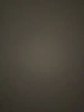pioneer_s webcam