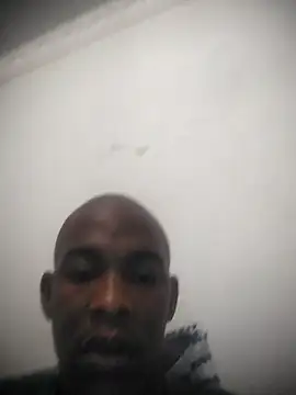 zuludog webcam