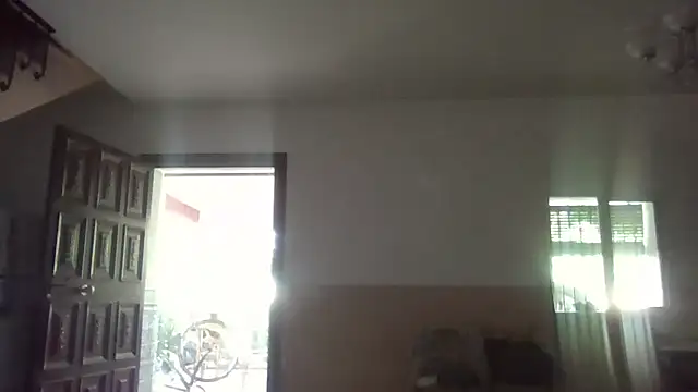llopaco webcam
