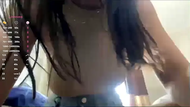 AiEsquer webcam