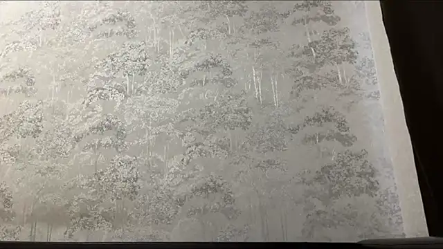 NisanaUwu webcam